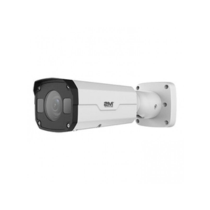 Network IP Cameras