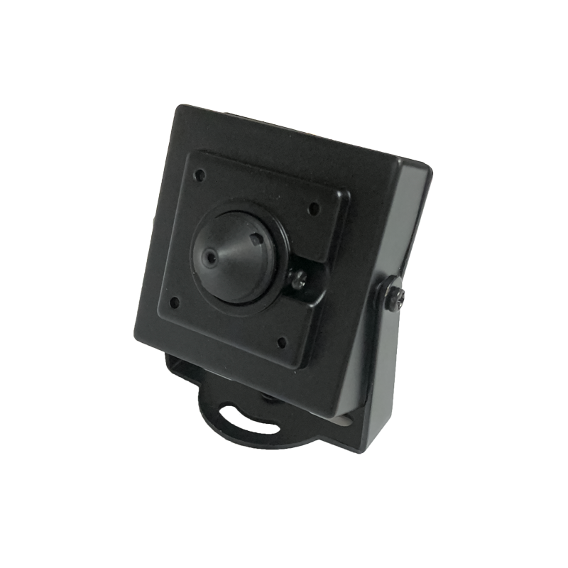Analog sales pinhole camera
