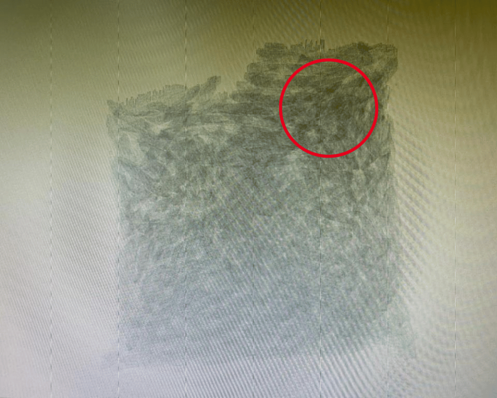 food xray sample 2