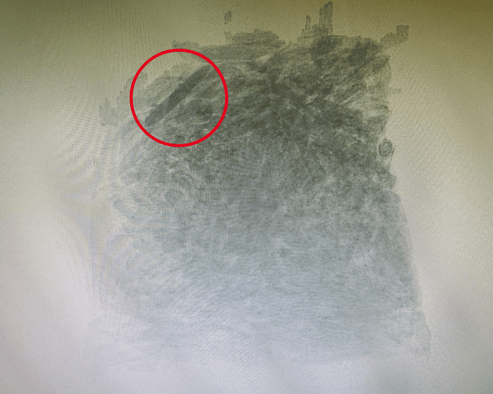 food xray sample 4